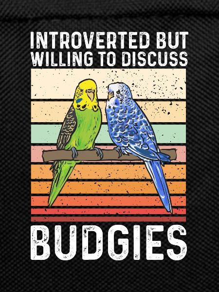 Budgerigar Parakeet Bird Pet Gift