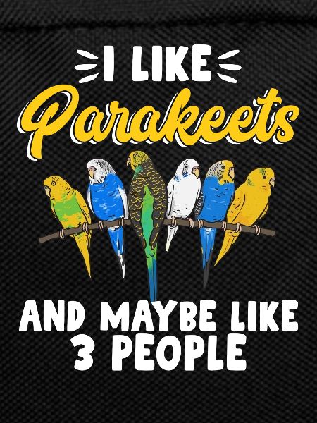 Budgerigar Parakeet Bird Pet Gift