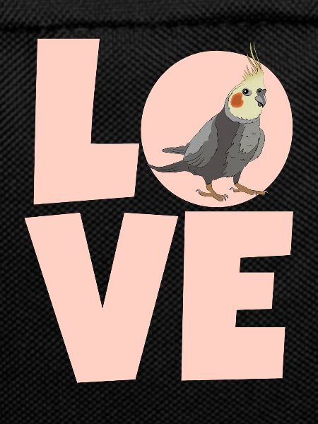 cockatiel cockatoo parrot bird gift