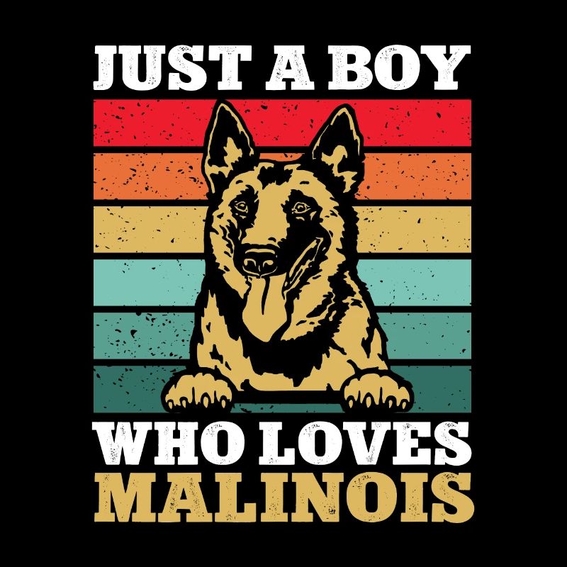 Malinois Belgian Shepherd Mechelaar Dog