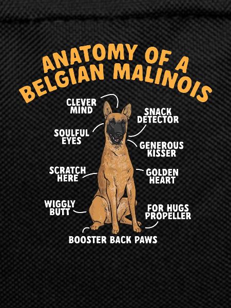 Malinois Belgian Shepherd Mechelaar Dog