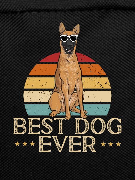 Malinois Belgian Shepherd Mechelaar Dog