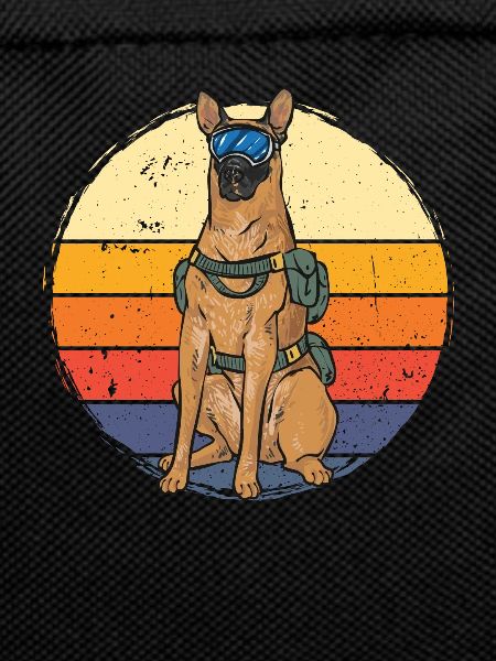 Malinois Belgian Shepherd Mechelaar Dog