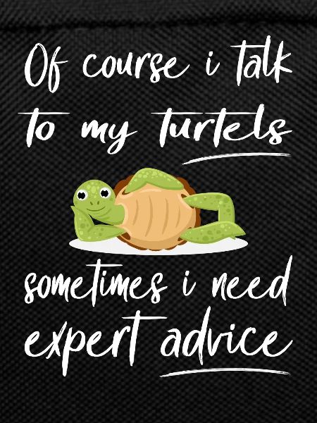 Funny Turtle Design Pet