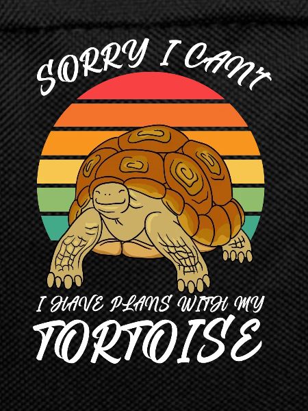 Tortue