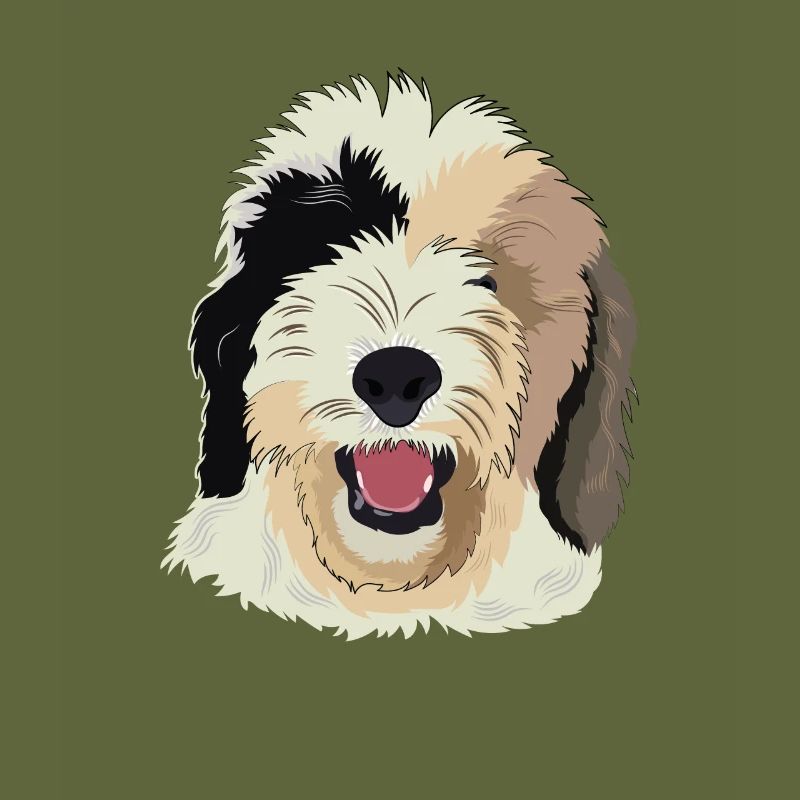 Sheepadoodle Hund Geschenk
