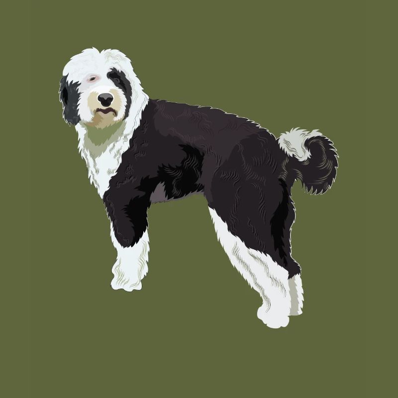 Cadeau de chien Sheepadoodle