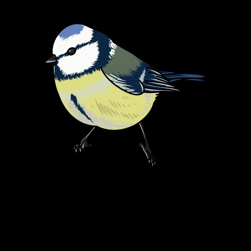 Mésange bleue Oiseau de l'année Mésange bleue