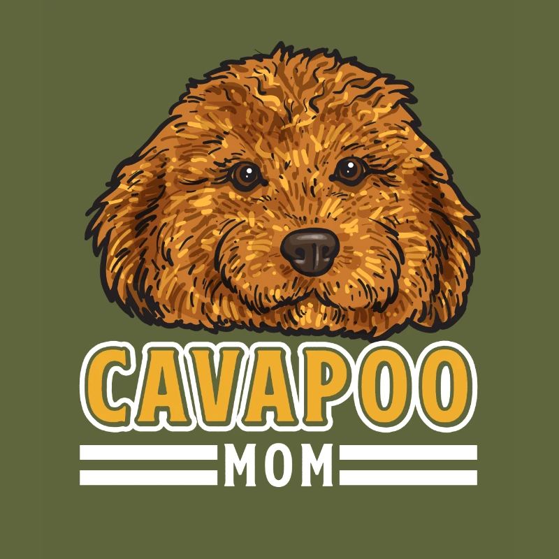 Cavapoo Cavoodle Capoodle Dog