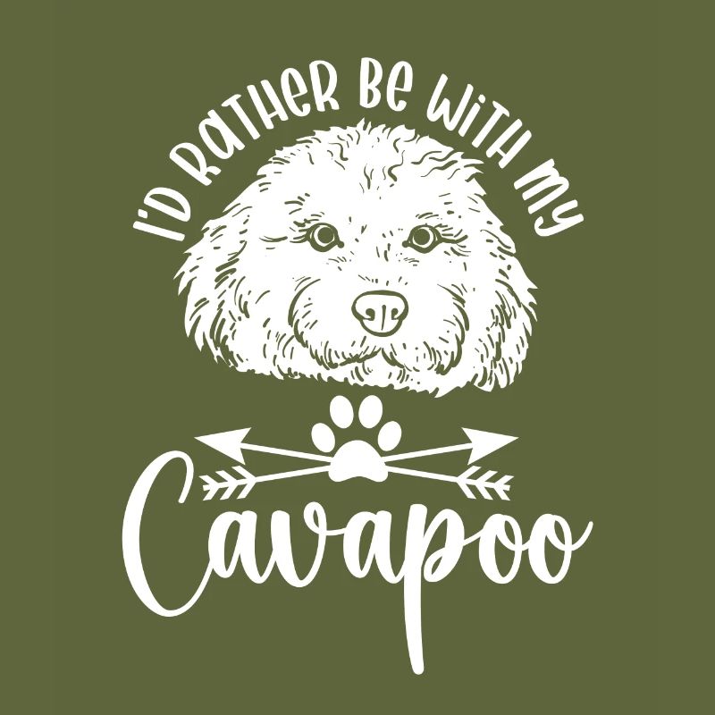Cavapoo Cavoodle Capoodle Hund