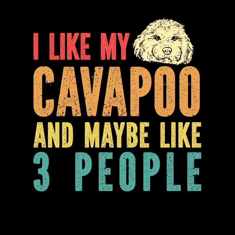 Cavapoo Cavoodle Capoodle Hund