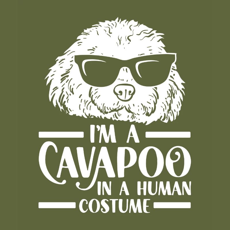 Cavapoo Cavoodle Capoodle Dog