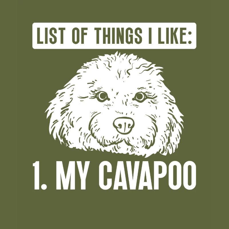 Cavapoo Cavoodle Capoodle Dog