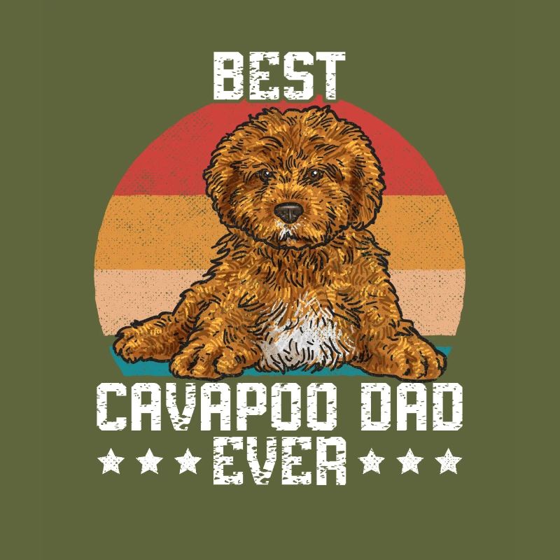 Cavapoo Cavoodle Capoodle Hund