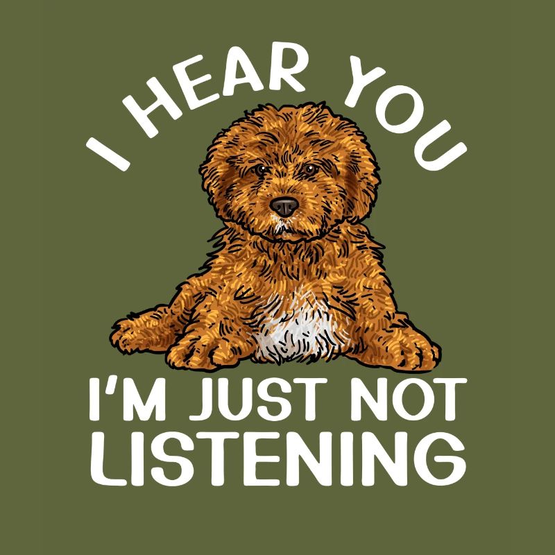 Cavapoo Cavoodle Capoodle Dog