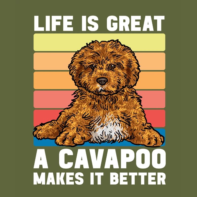 Cavapoo Cavoodle Capoodle Dog