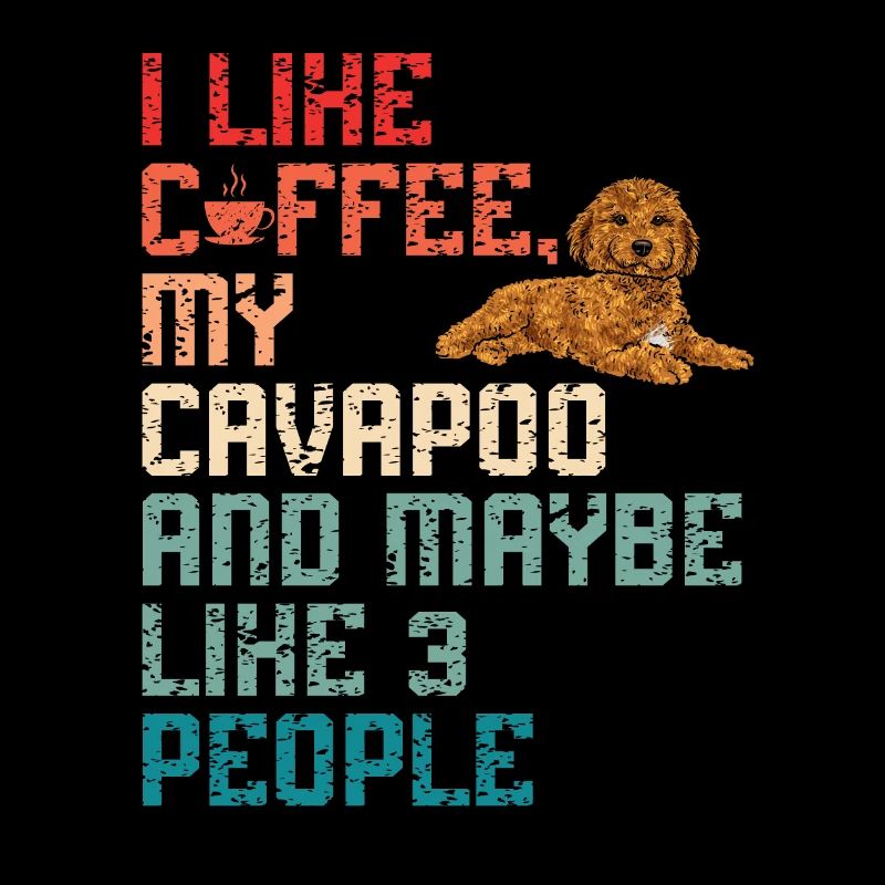 Cavapoo Cavoodle Capoodle Hund
