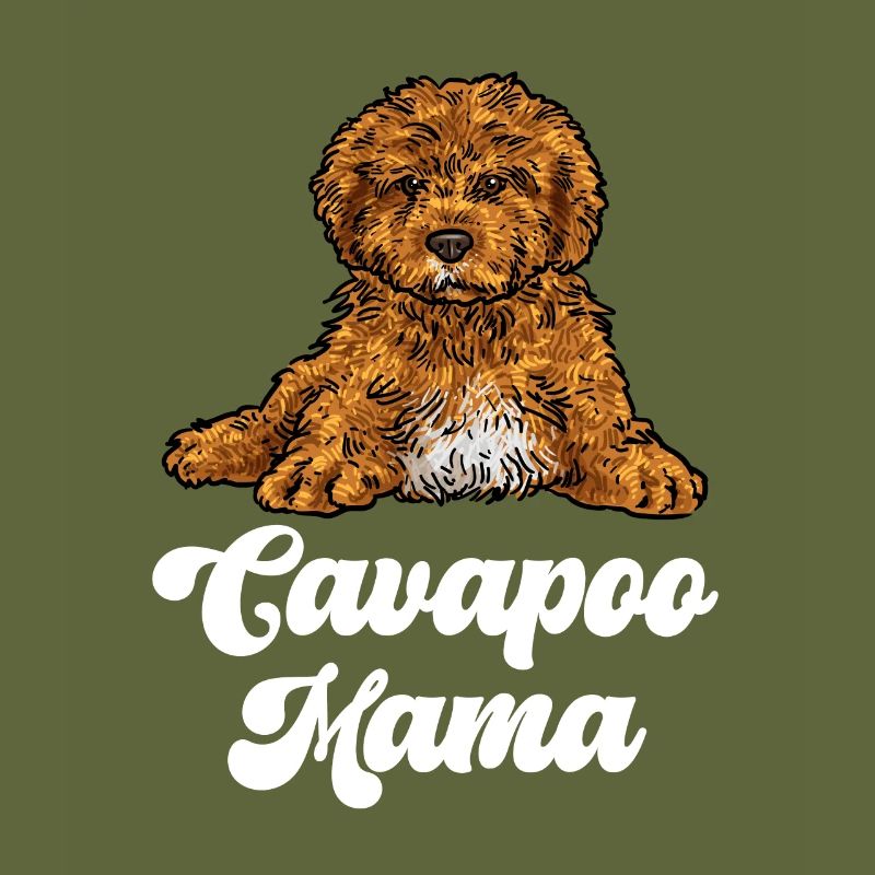 Cavapoo Cavoodle Capoodle Chien