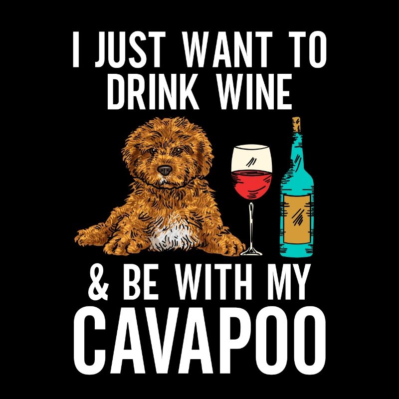 Cavapoo Cavoodle Capoodle Hund