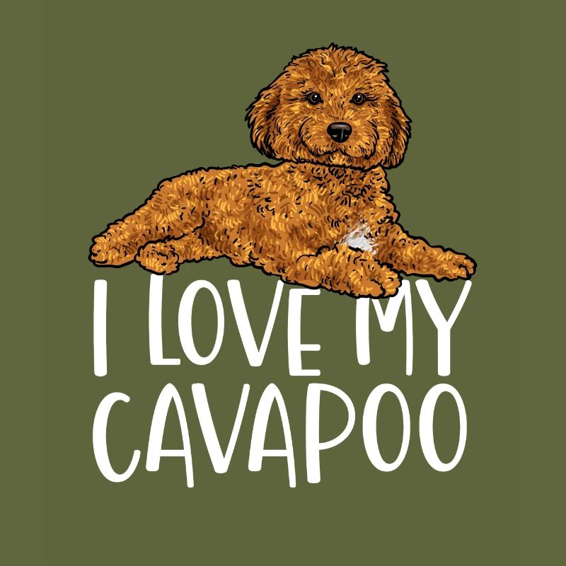 Cavapoo Cavoodle Capoodle Hund