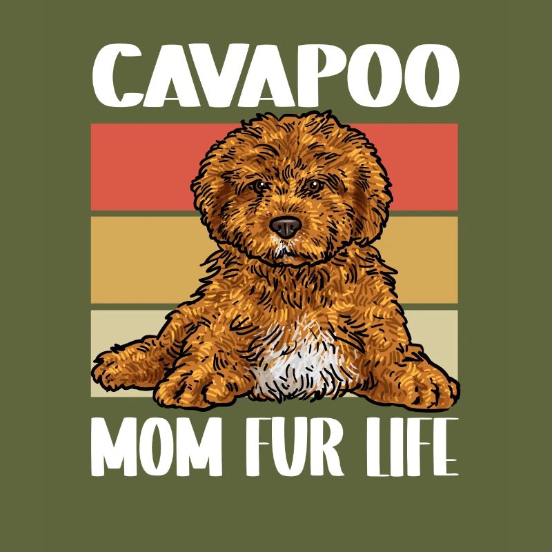 Cavapoo Cavoodle Capoodle Dog