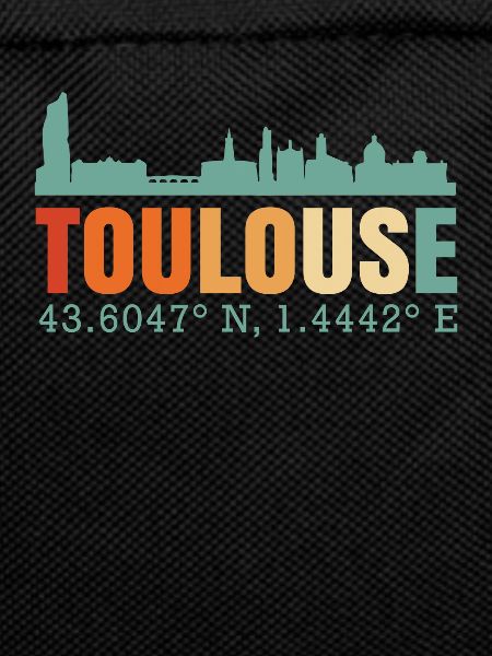 Toulouse France Skyline