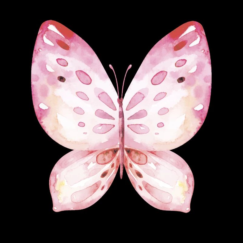 Butterfly Wings Butterfly Carnival Carnival