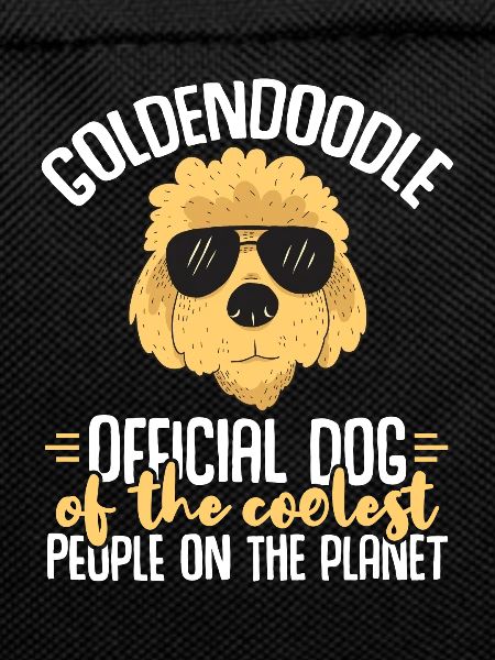 Goldendoodle Doodle Dog