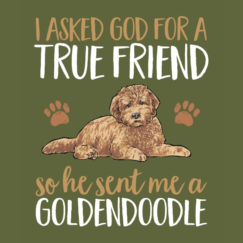 Goldendoodle Doodle Dog