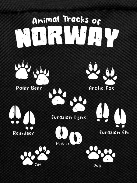 Animal Tracks Norway Footprints