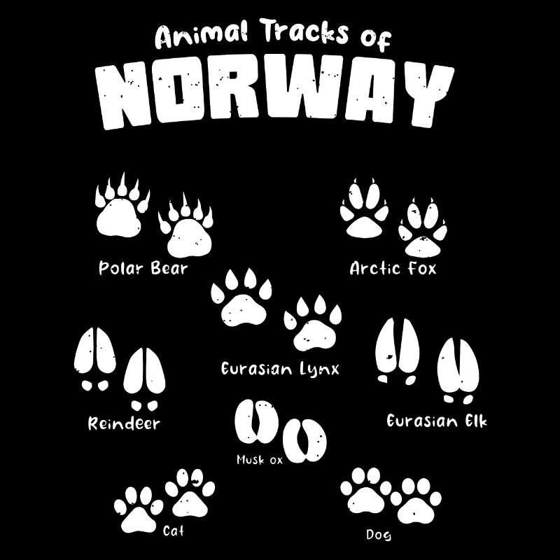 Animal Tracks Norway Footprints