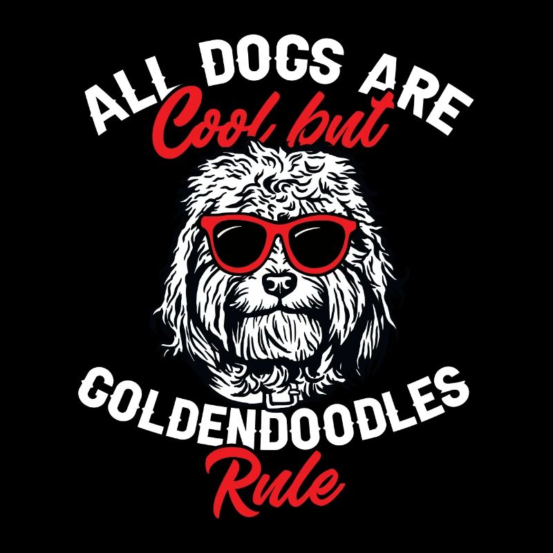 Goldendoodle Doodle Chien