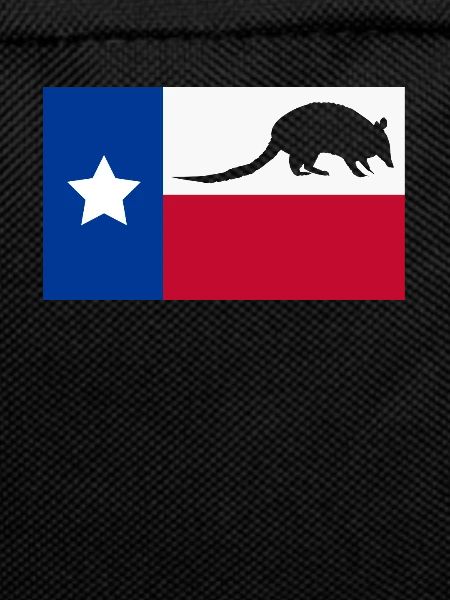 Armadillo Gift Texas