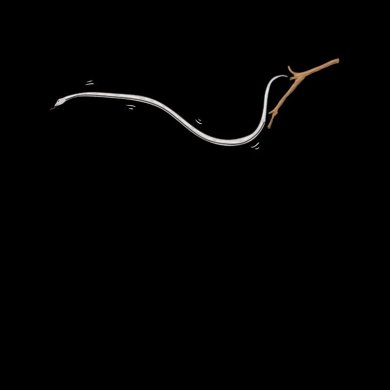 Flying snake Sliding snake Chrysopelea