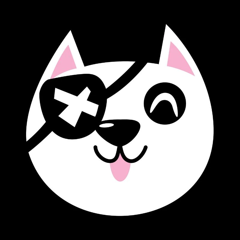 Pirate Cat