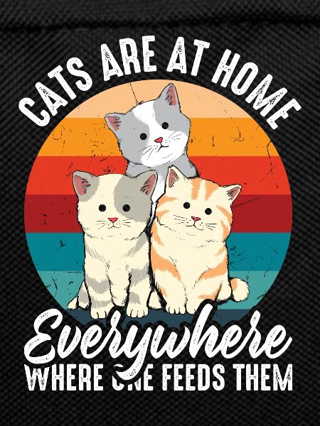 Cats are at home everywhere
