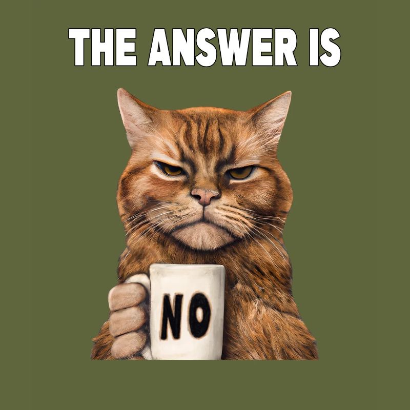 The answer is no. Grumpy Funny Cat