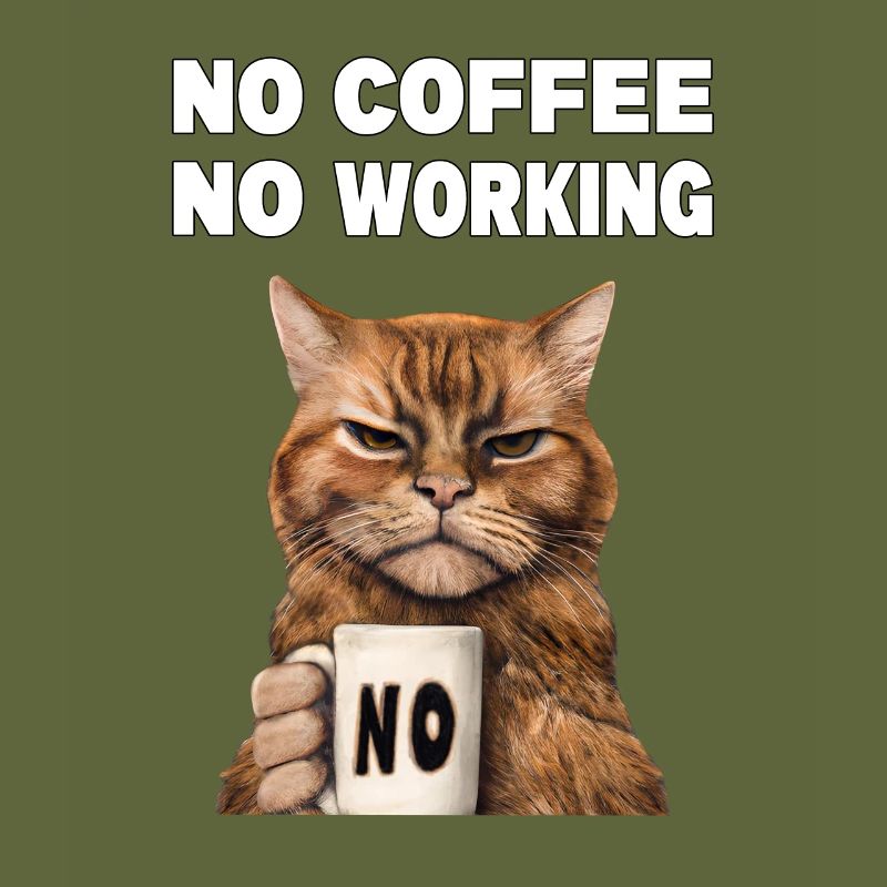 no coffee no working. Grumpy Funny Cat