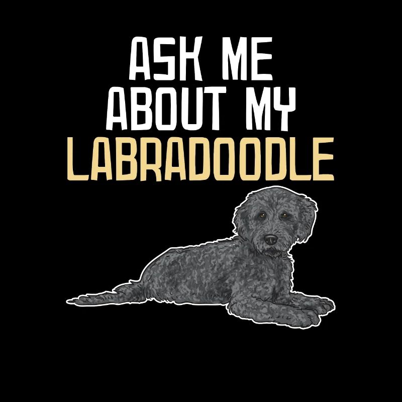 Labradoodle Hund
