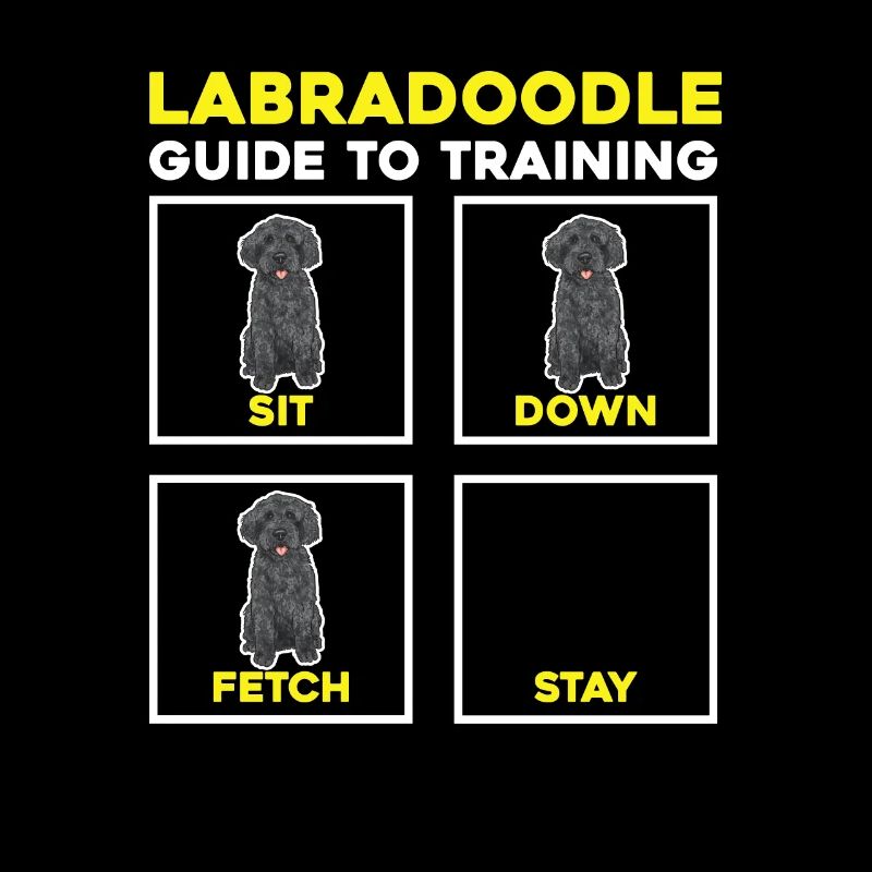 Labradoodle Hund