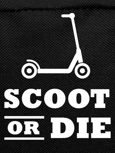 E-Scooter E-Roller Scooter