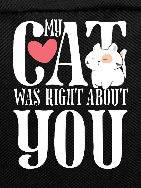 My cat right