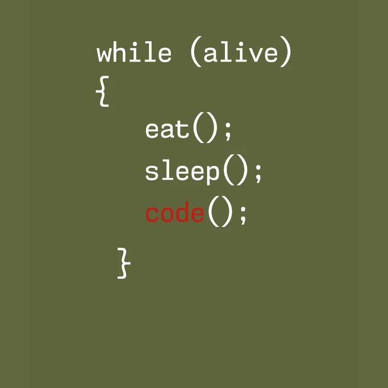 Administrateur Coding Geek Programmeur