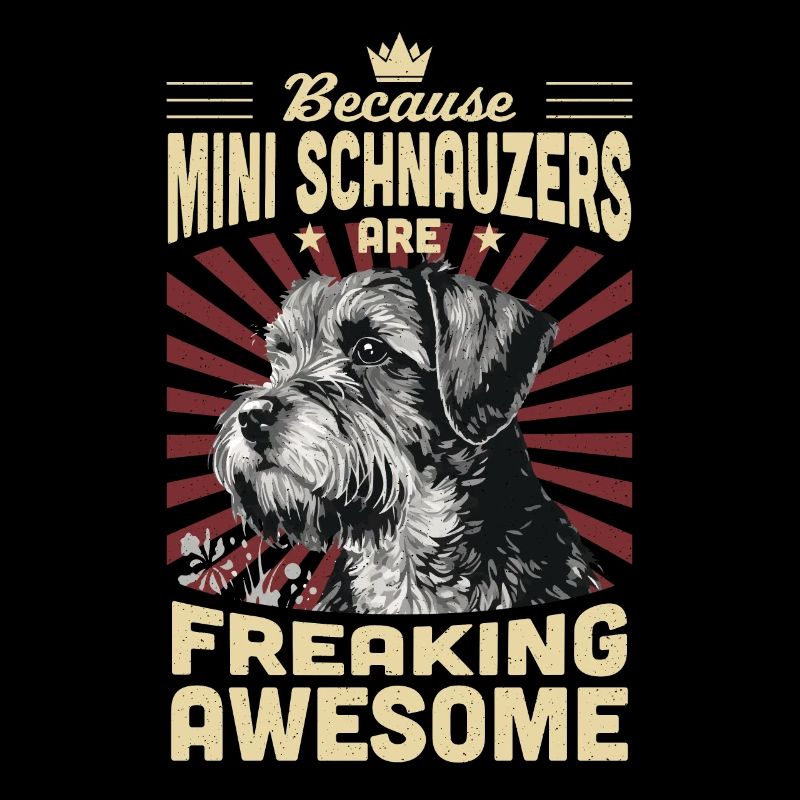 Zwergschnauzer