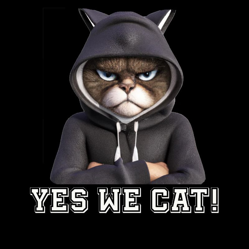 Evil looking cat, Funny Yes we Cat