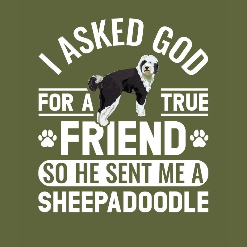 Sheepadoodle Doodle Dog