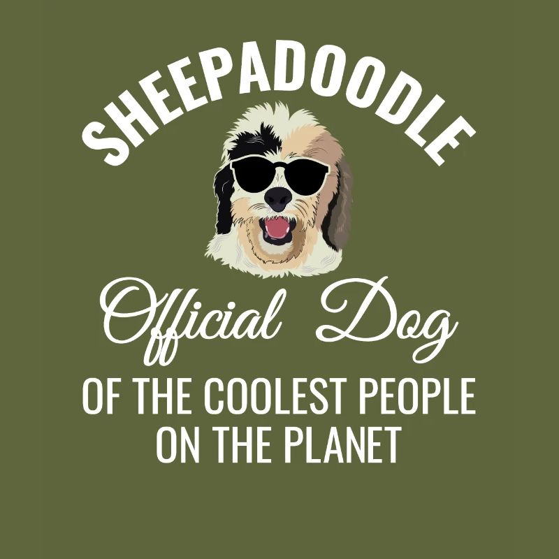 Sheepadoodle Doodle Dog