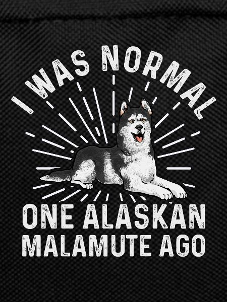 Chien Malamute d’Alaska