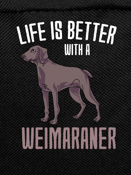 Weimaraner