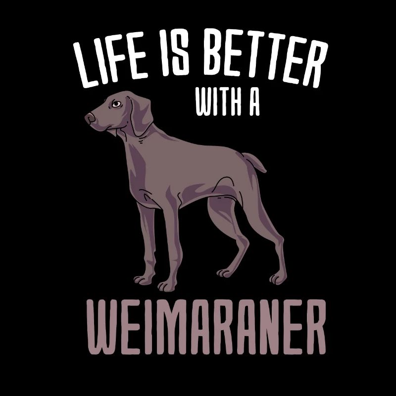 Weimaraner